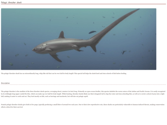 shark16 screenshot