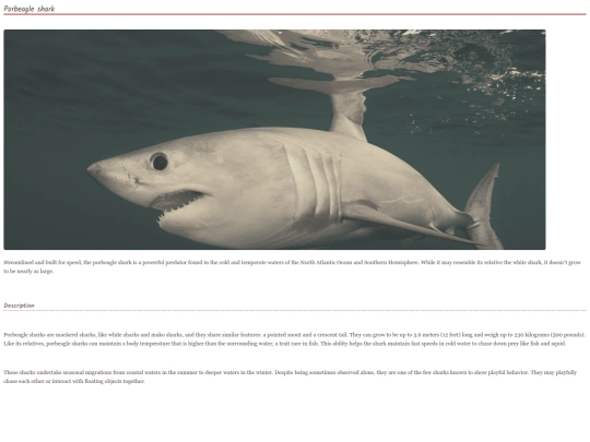 shark17 screenshot