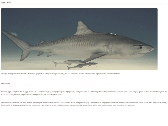 shark18 screenshot