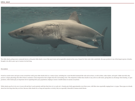 shark19 screenshot