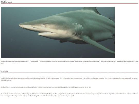 shark2 screenshot