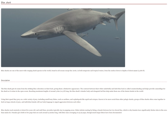 shark3 screenshot