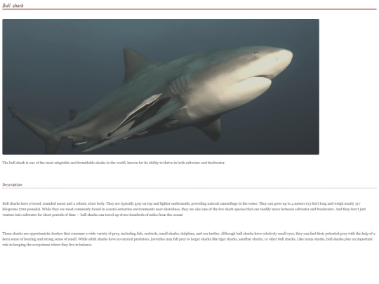 shark4 screenshot