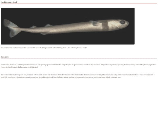 shark5 screenshot