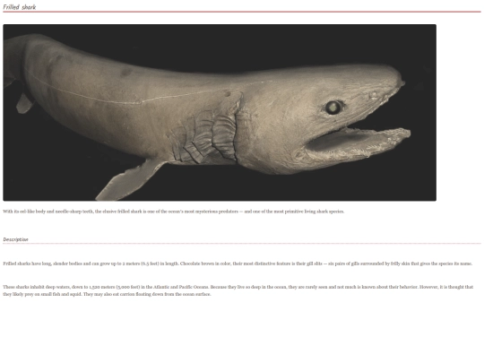 shark6 screenshot