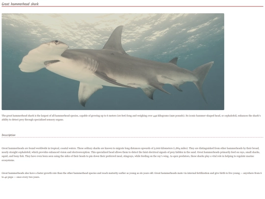 shark8 screenshot