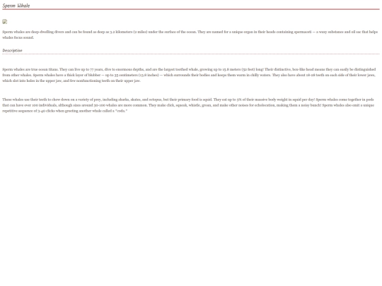 whale12 screenshot