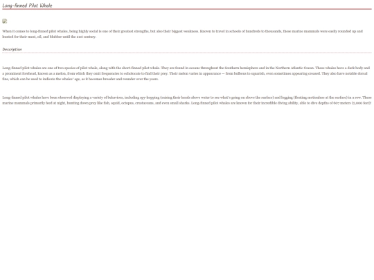 whale8 screenshot
