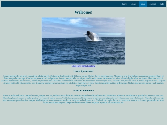 shop screenshot
