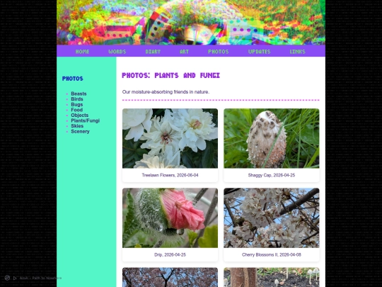 content/content_photos/photos_plantsfun screenshot