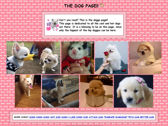 DOGDOG/Doggo screenshot