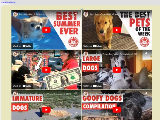 dogs screenshot