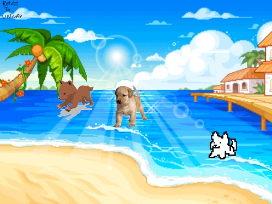 woof screenshot