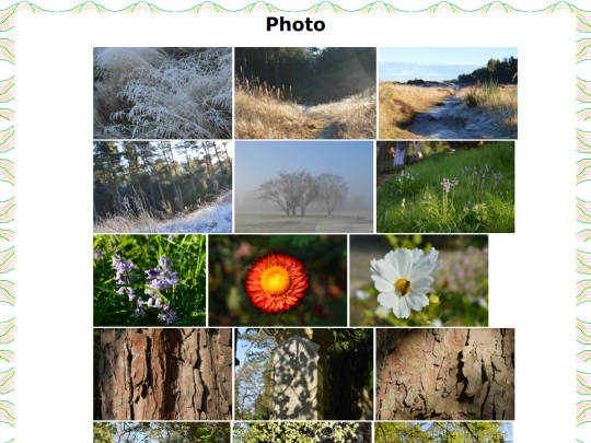 photo screenshot