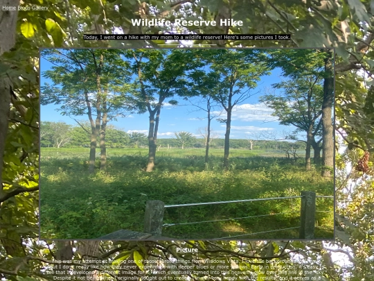 WlrBlog screenshot