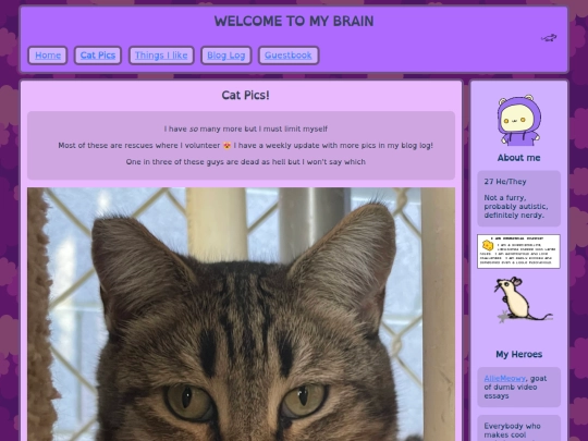 cat-pics screenshot