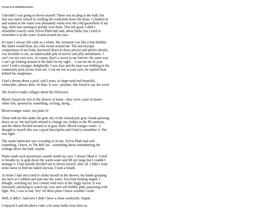 excerpt screenshot