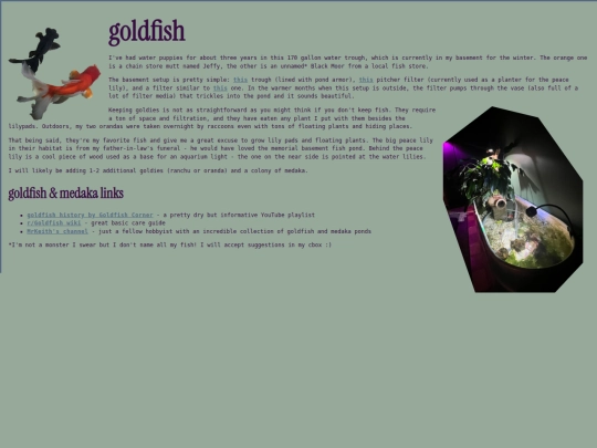 goldfish screenshot