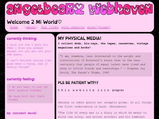 media screenshot