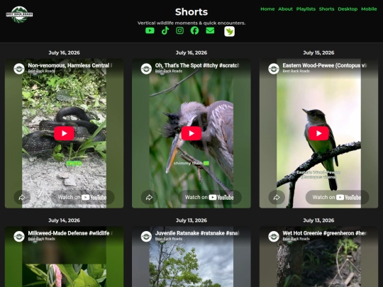 shorts screenshot