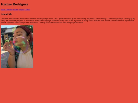 Portfolio/about screenshot