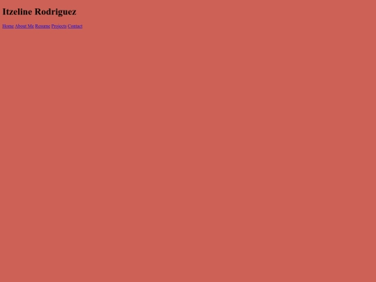 Portfolio screenshot