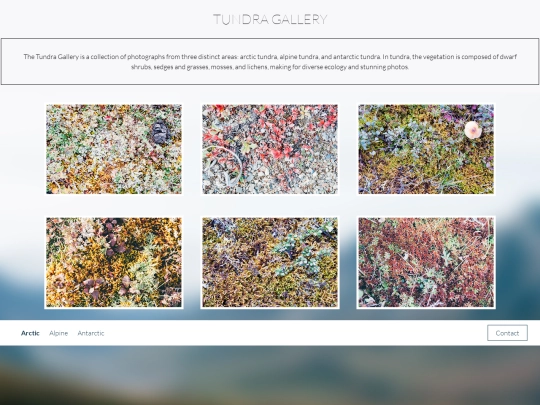 codeacademy1 screenshot