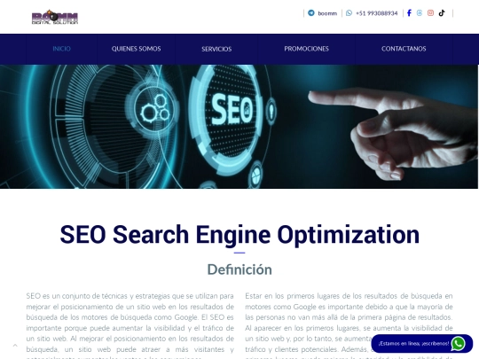 seo screenshot