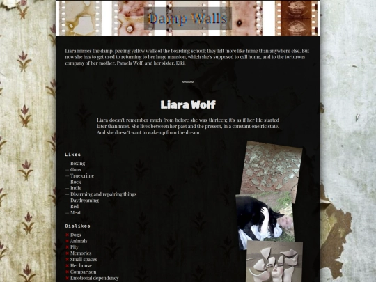 dampwalls screenshot