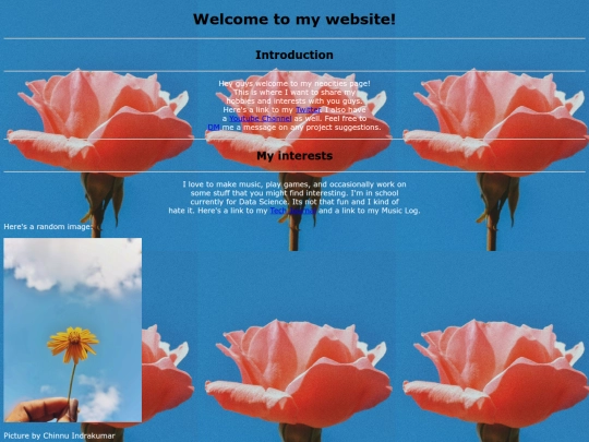 IndexCopy screenshot