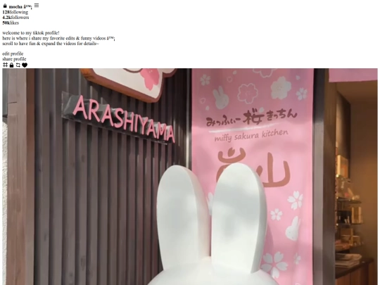 pages/mochapad/tiktok screenshot
