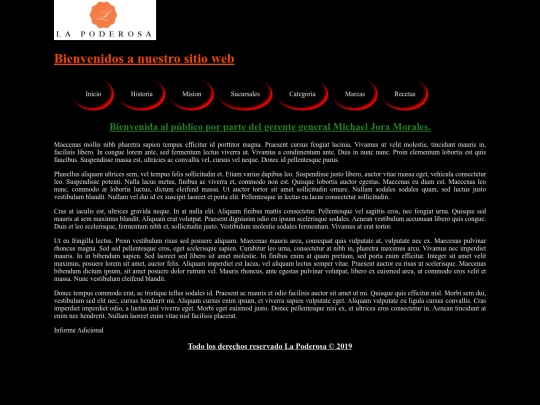 PracticaHtml screenshot