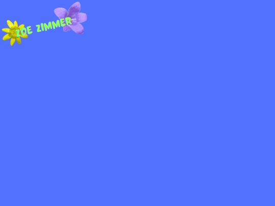 shop screenshot