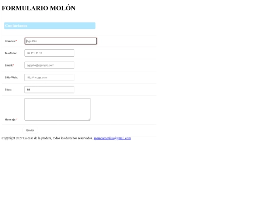 formulario screenshot