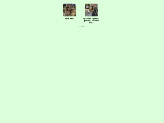 kediler screenshot