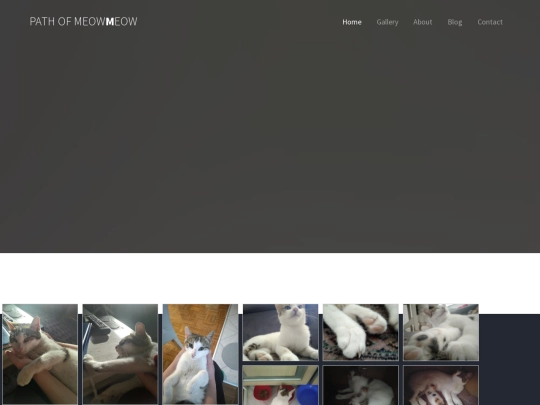 portfolio screenshot
