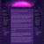 yeyasworld.yorniq.xyz avatar