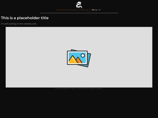 projects screenshot