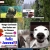 jzilmo.yorniq.xyz avatar
