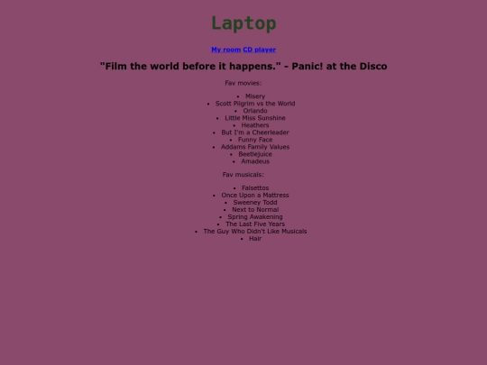 laptop screenshot