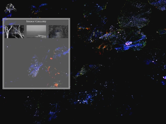 Website Pages/Images screenshot