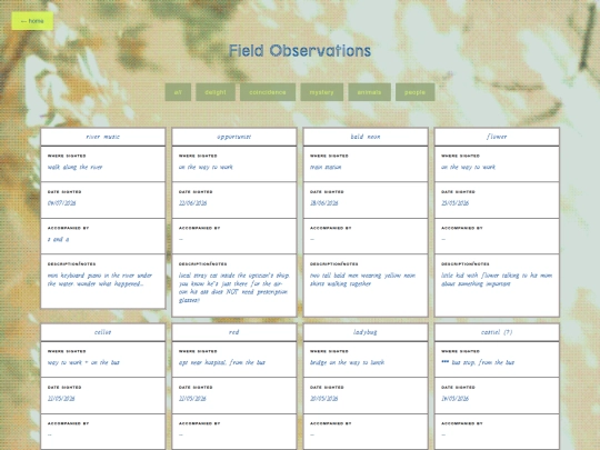 observations screenshot