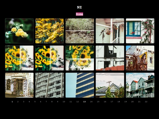 nz-11 screenshot