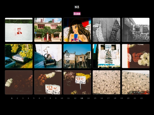 nz-12 screenshot