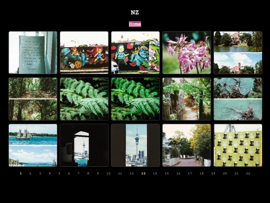 nz-16 screenshot
