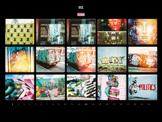 nz-17 screenshot