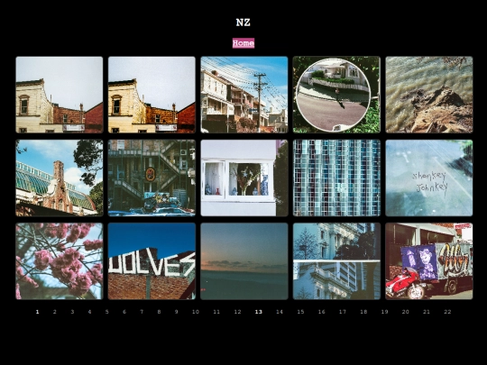 nz-20 screenshot