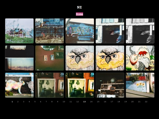 nz-21 screenshot