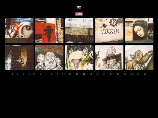 nz-22 screenshot