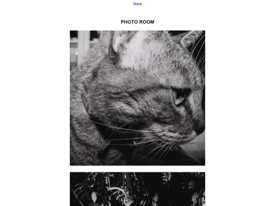 PhotoRoom3 screenshot
